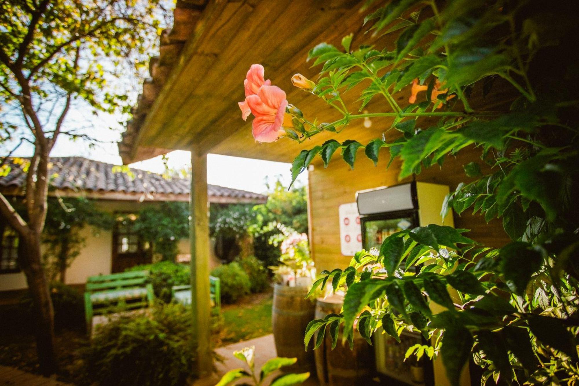 Hotel Hoja De Parra Santa Cruz Eksteriør bilde